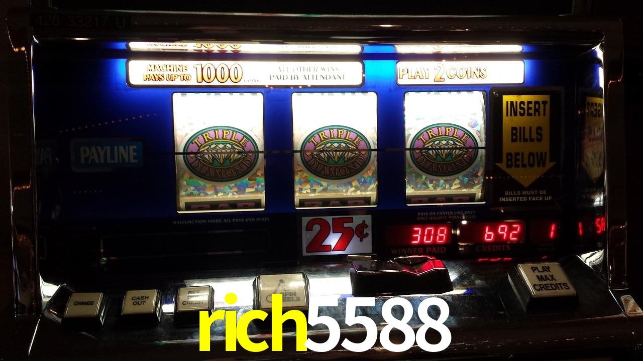 Secure Login rich5588