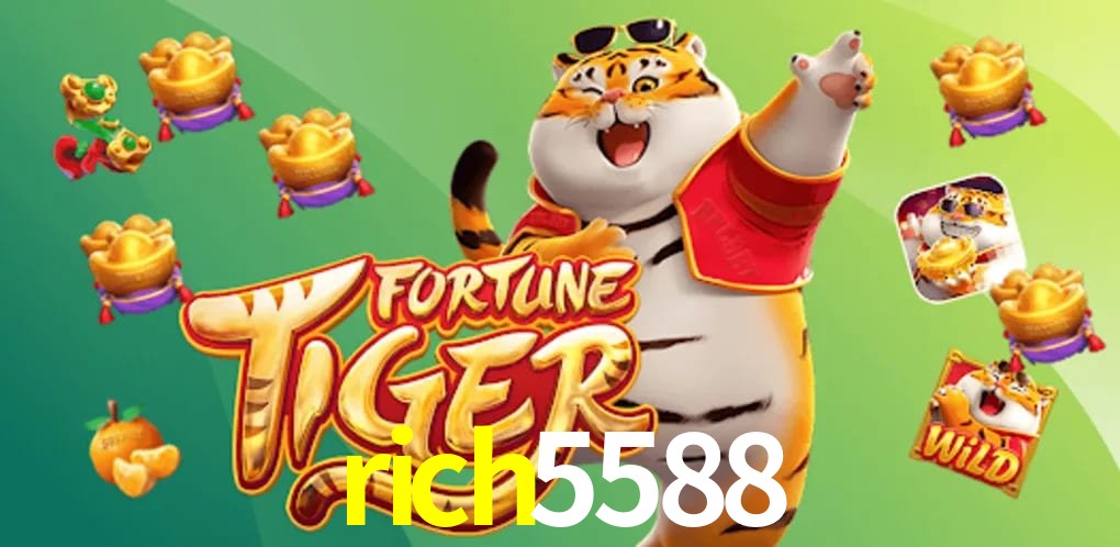 Responsive Design rich5588